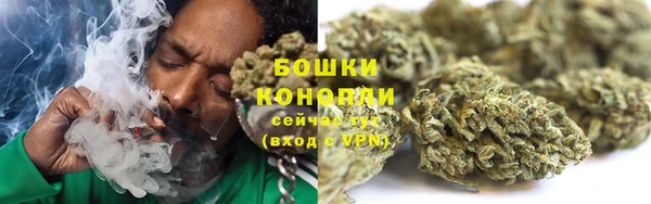 ECSTASY Покачи