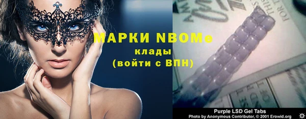 прущие грибы Покровск