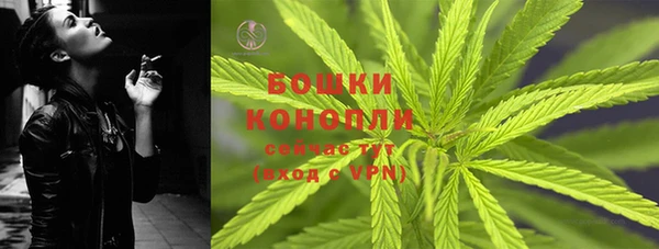прущие грибы Покровск