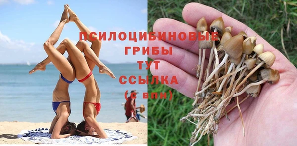 mix Губаха