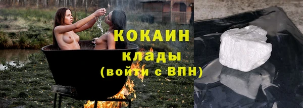 прущие грибы Покровск