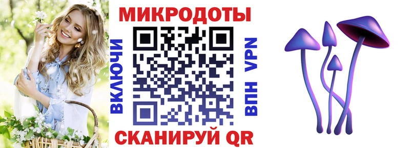 наркота  Ейск  Псилоцибиновые грибы прущие грибы 