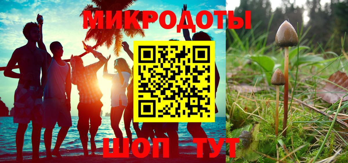 Псилоцибиновые грибы Psilocybe  что такое   Ейск 