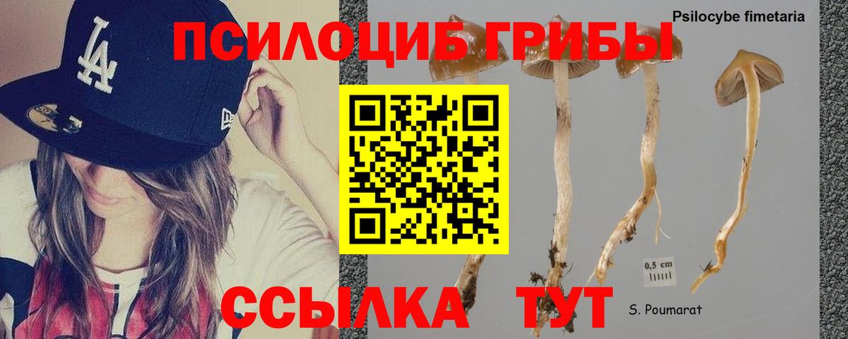 Ейск  ГАШ  НБОМе  Вход с VPN  Cocaine  MDMA  Мефедрон  Альфа-ПВП  Гарик  Бошки Шишки 