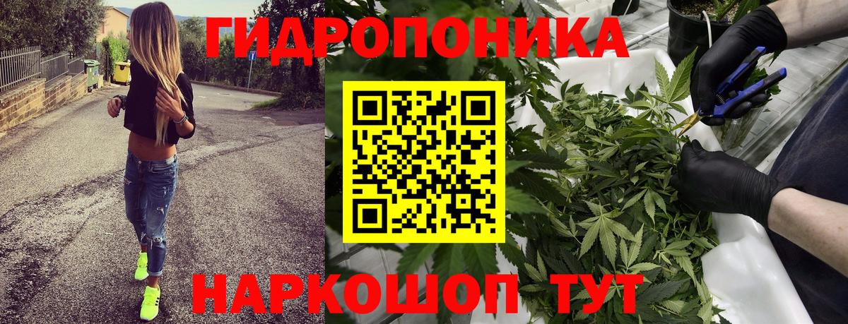Бошки марихуана OG Kush Ейск